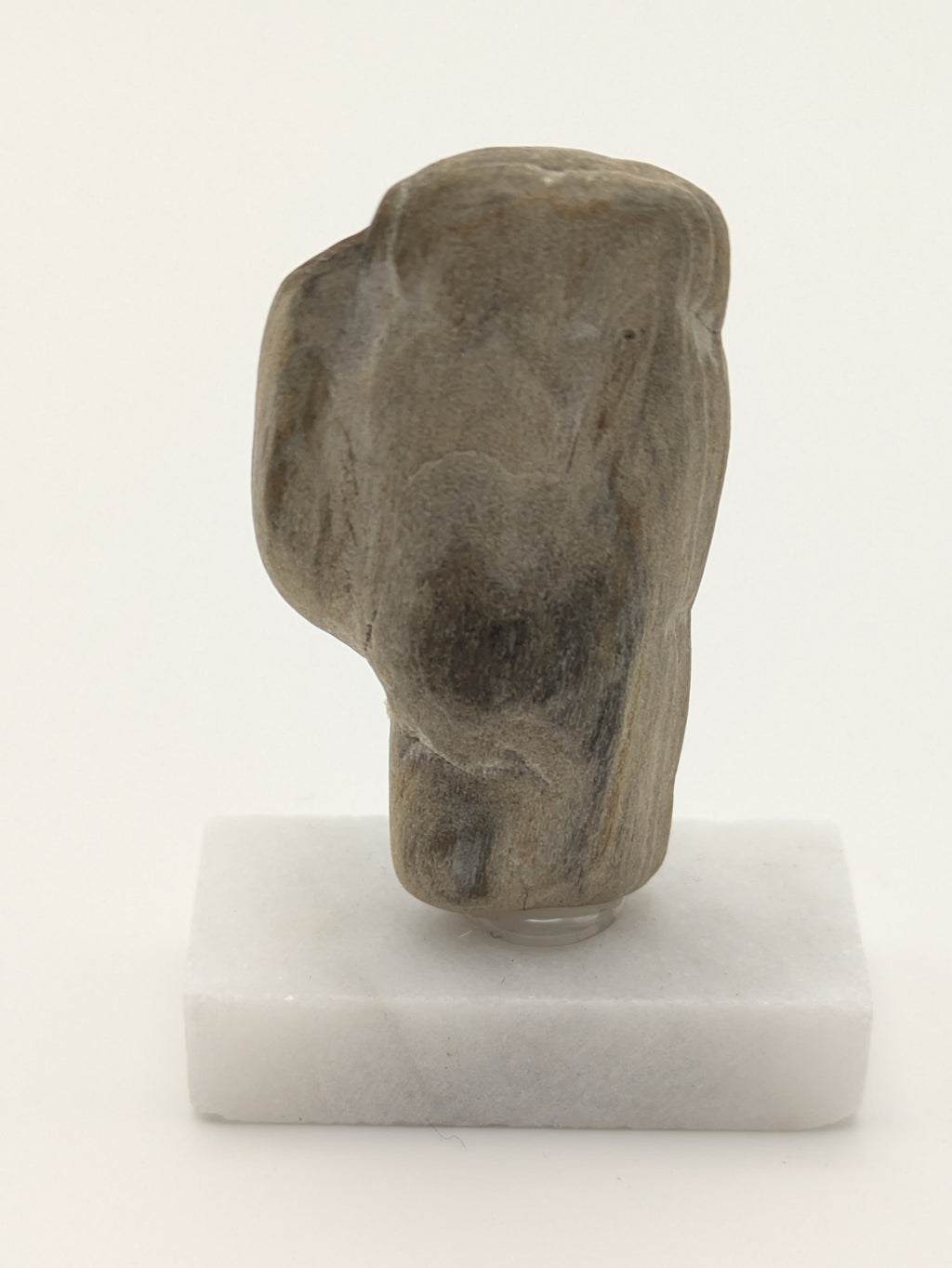 Small Petrified Wood Specimen (with stand)