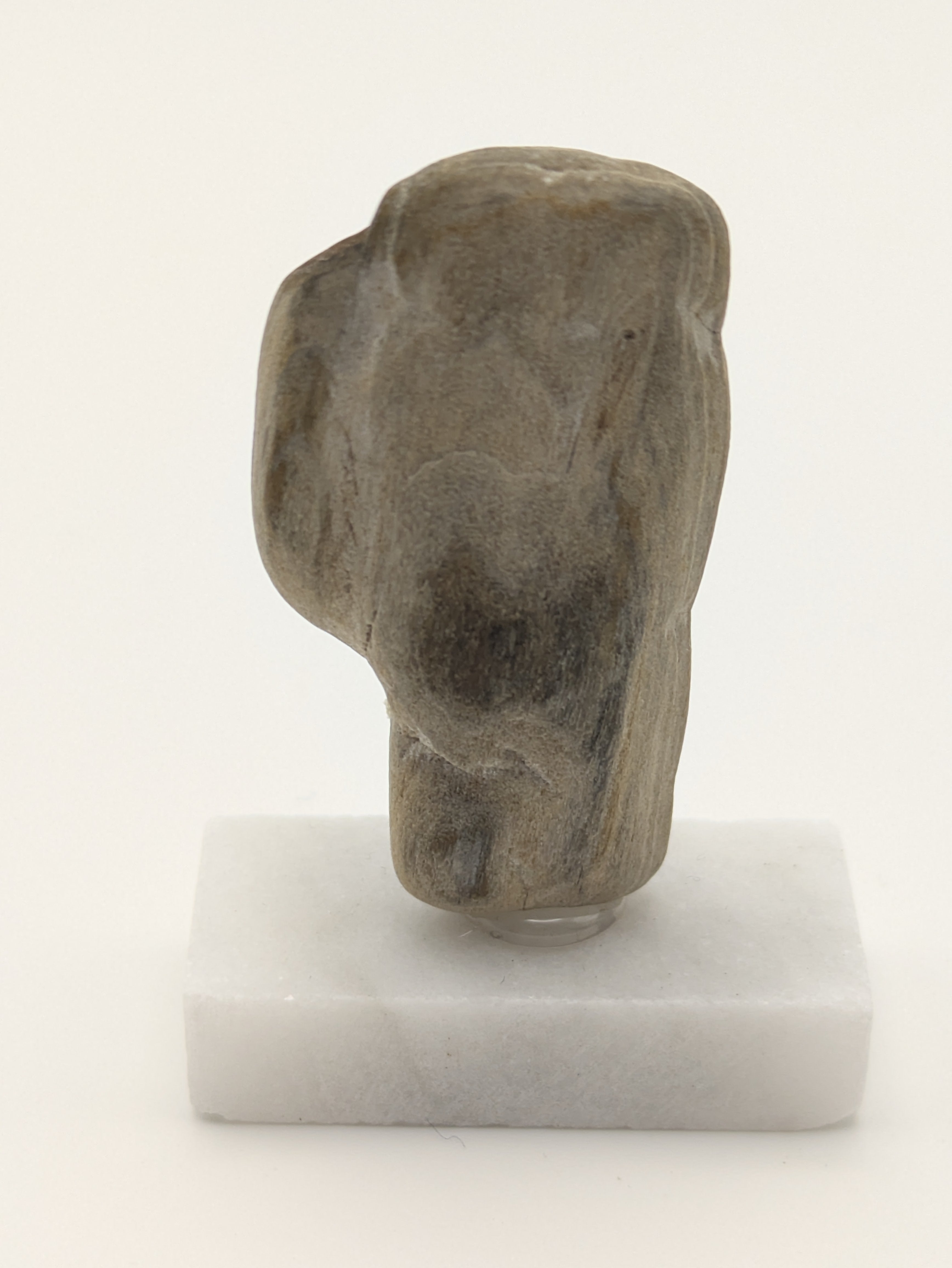 Small Petrified Wood Specimen (with stand)