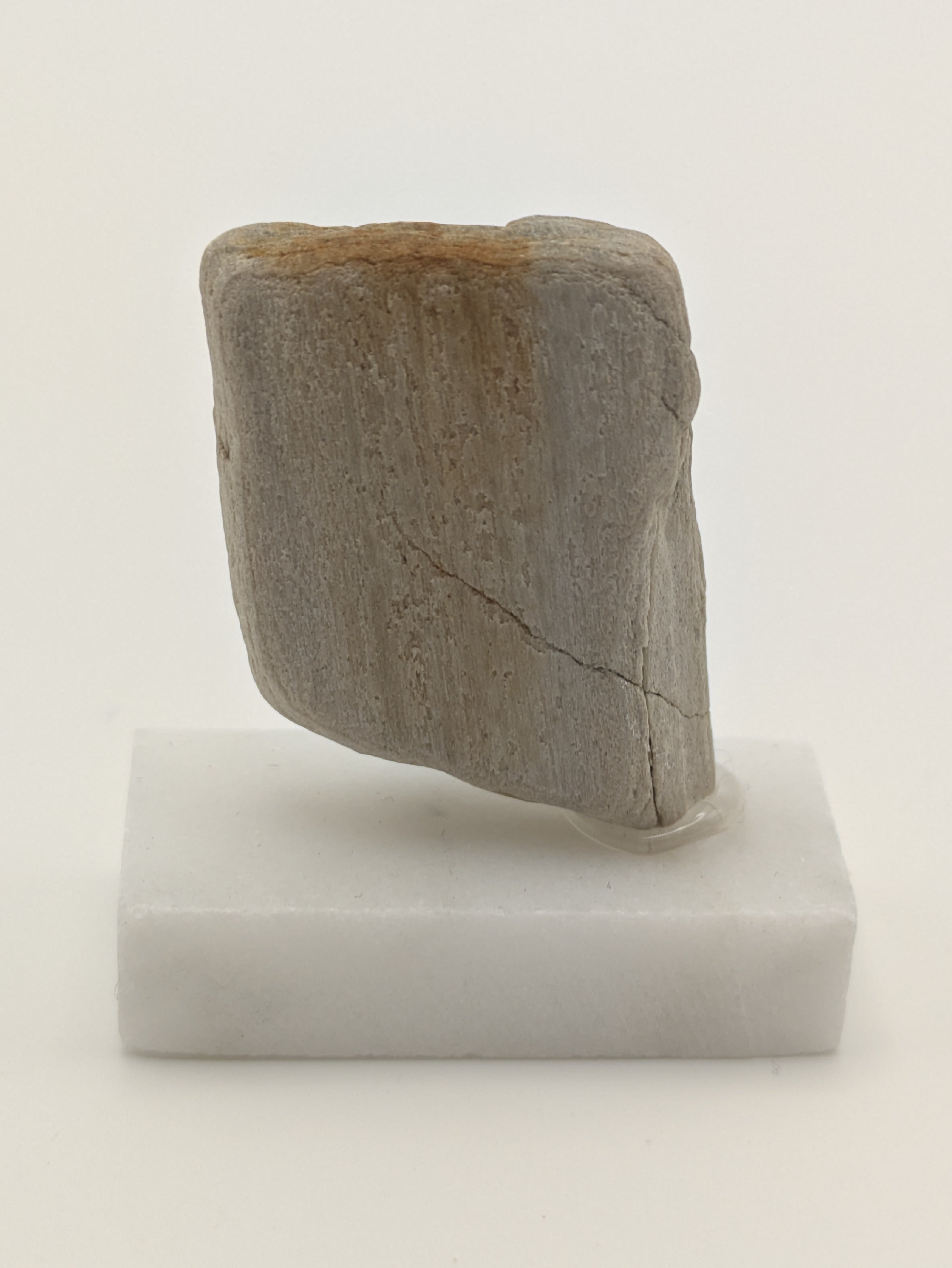 Small Petrified Wood Specimen (with stand)