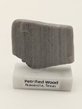 Small Petrified Wood Specimen (with stand)