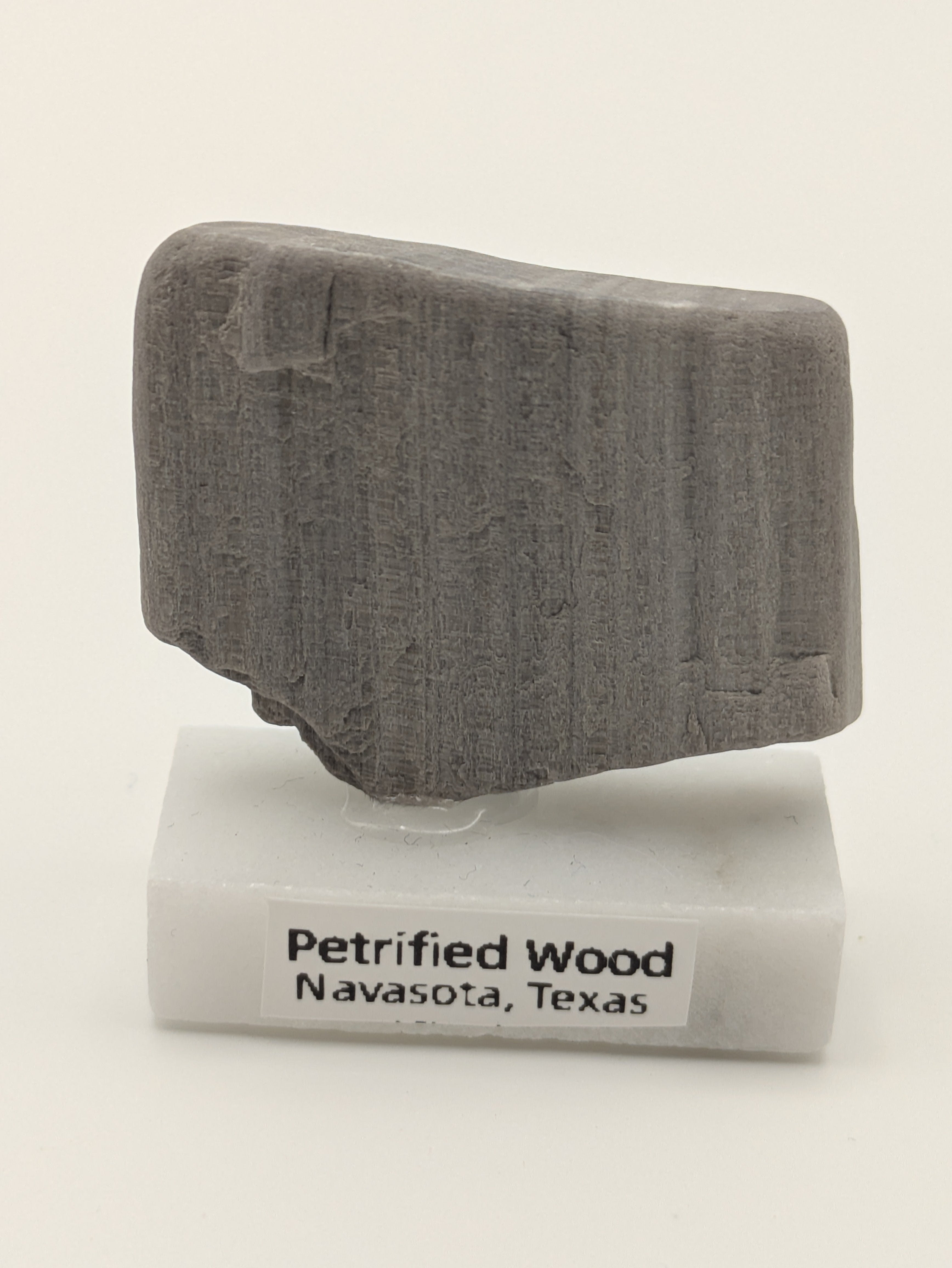 Small Petrified Wood Specimen (with stand)