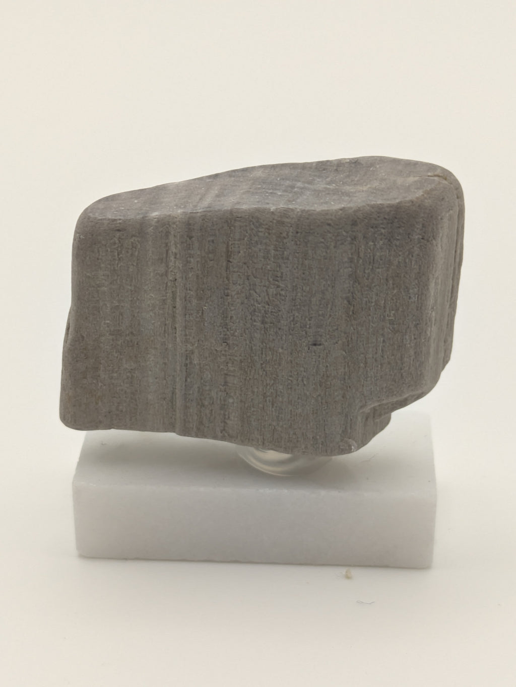 Small Petrified Wood Specimen (with stand)