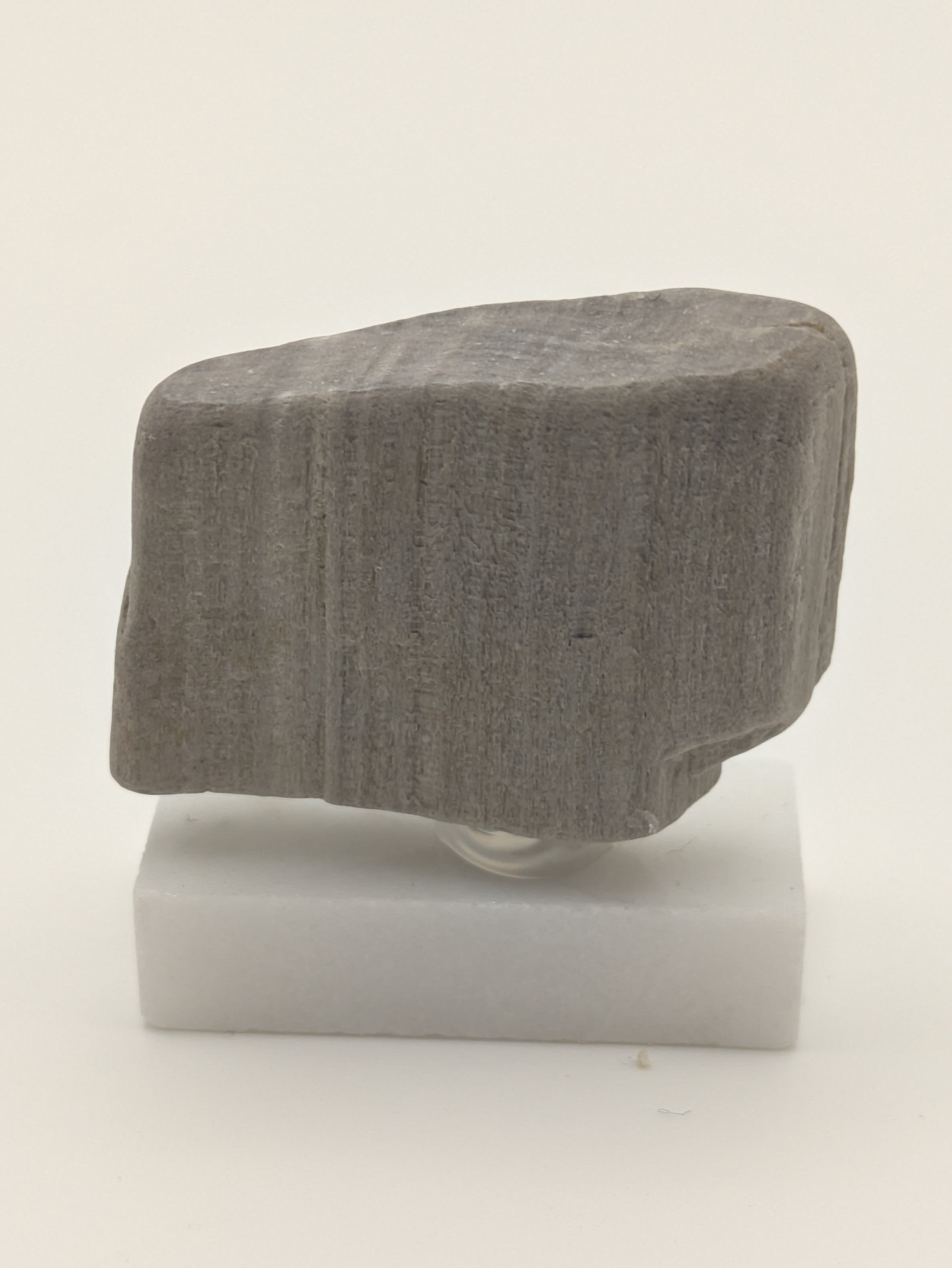 Small Petrified Wood Specimen (with stand)