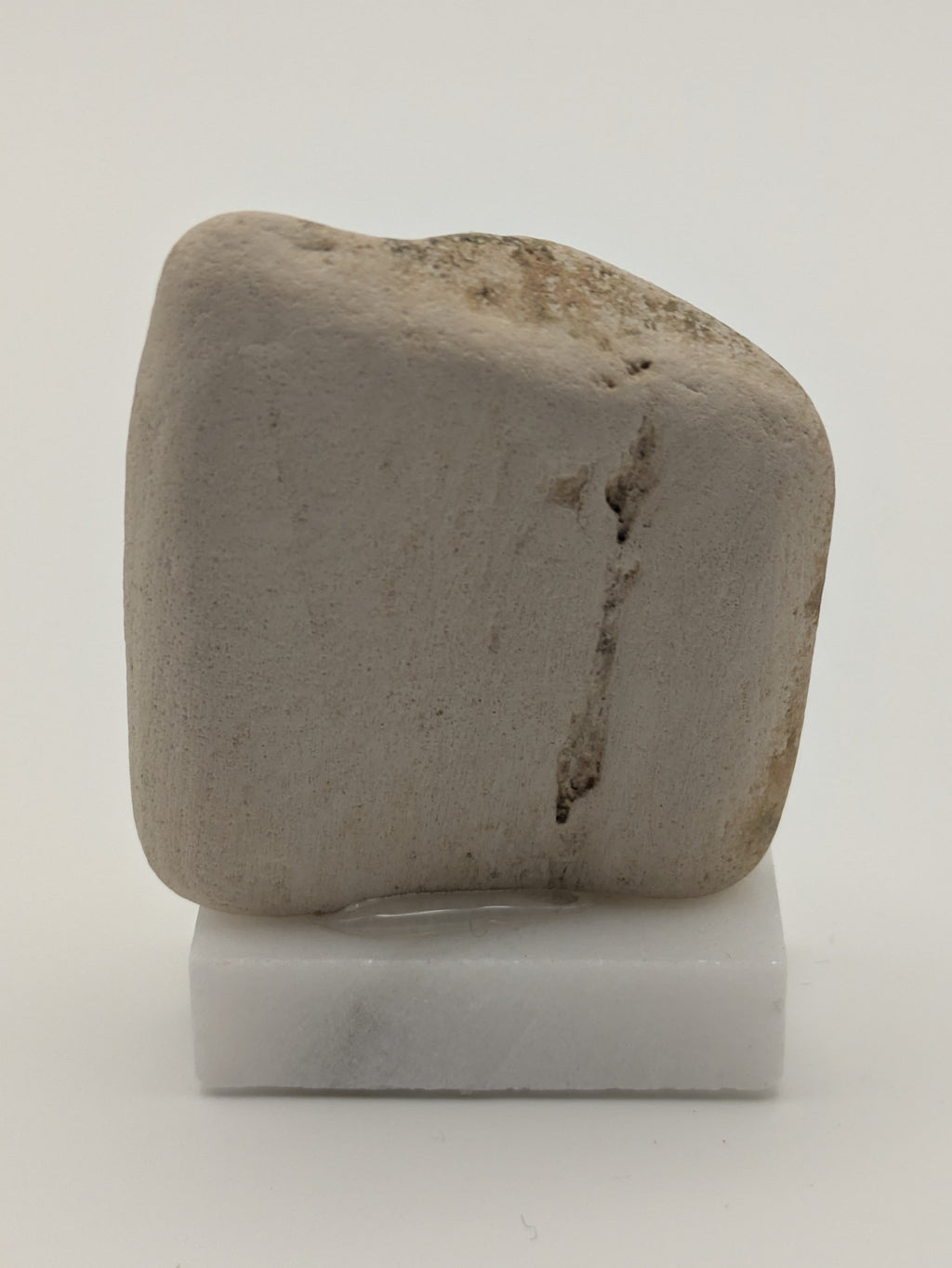 Small Petrified Wood Specimen (with stand)