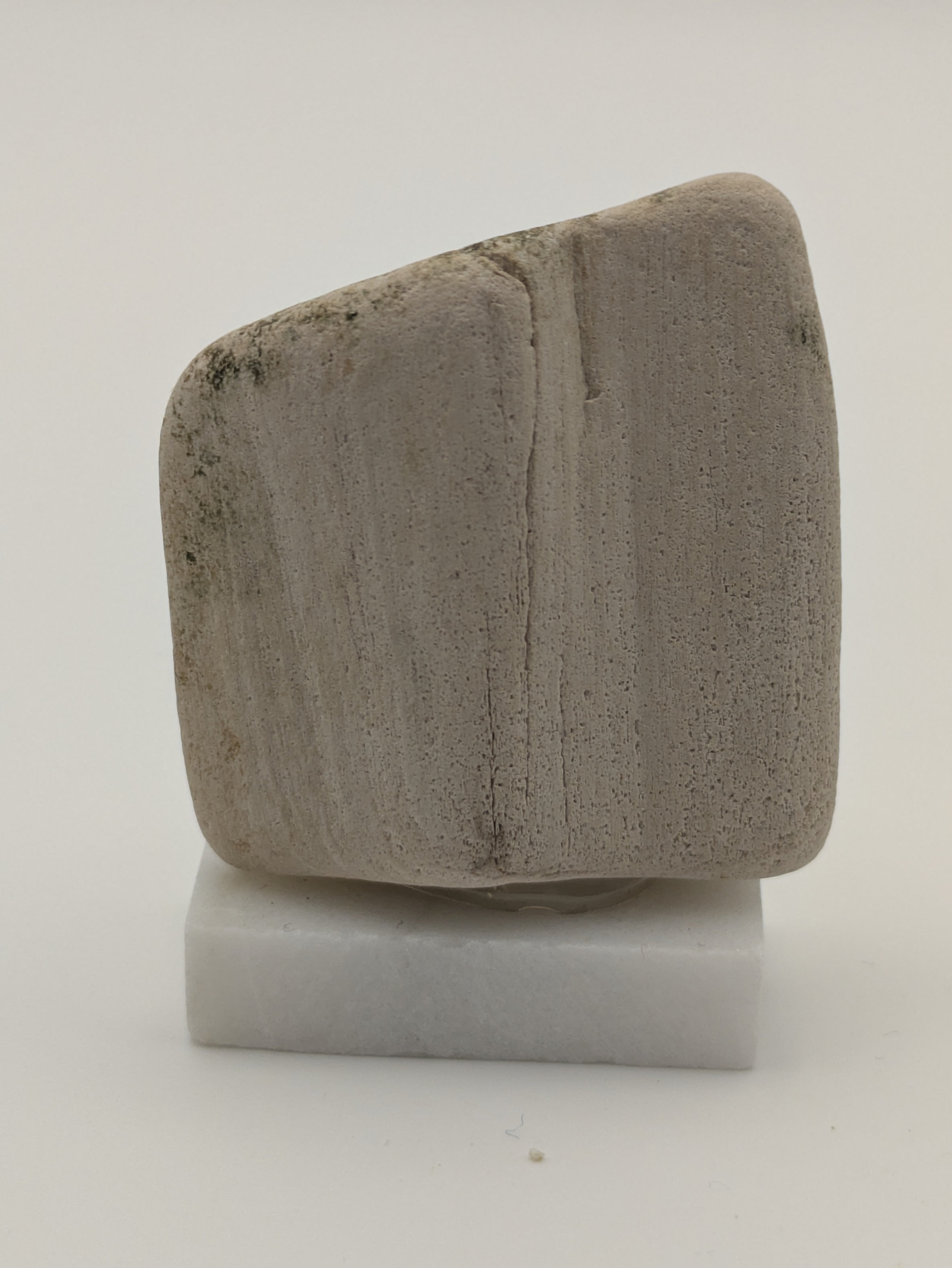 Small Petrified Wood Specimen (with stand)