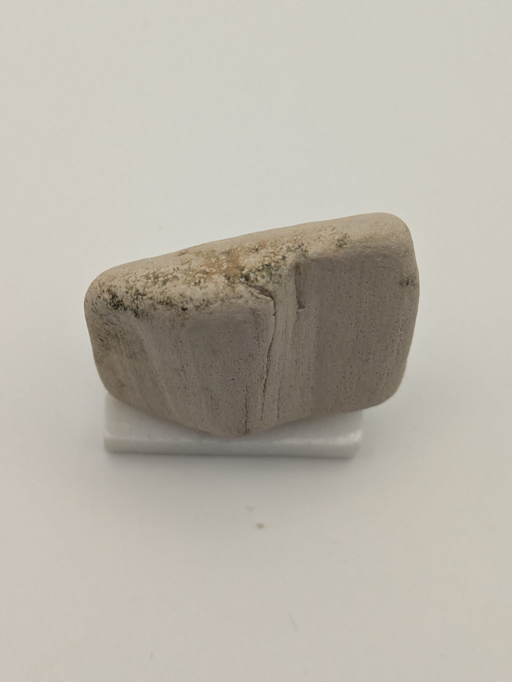 Small Petrified Wood Specimen (with stand)