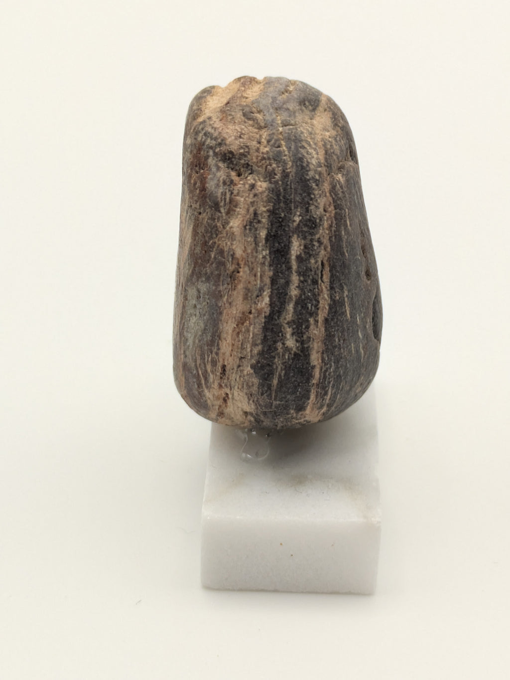 Small Petrified Wood Specimen (with stand)
