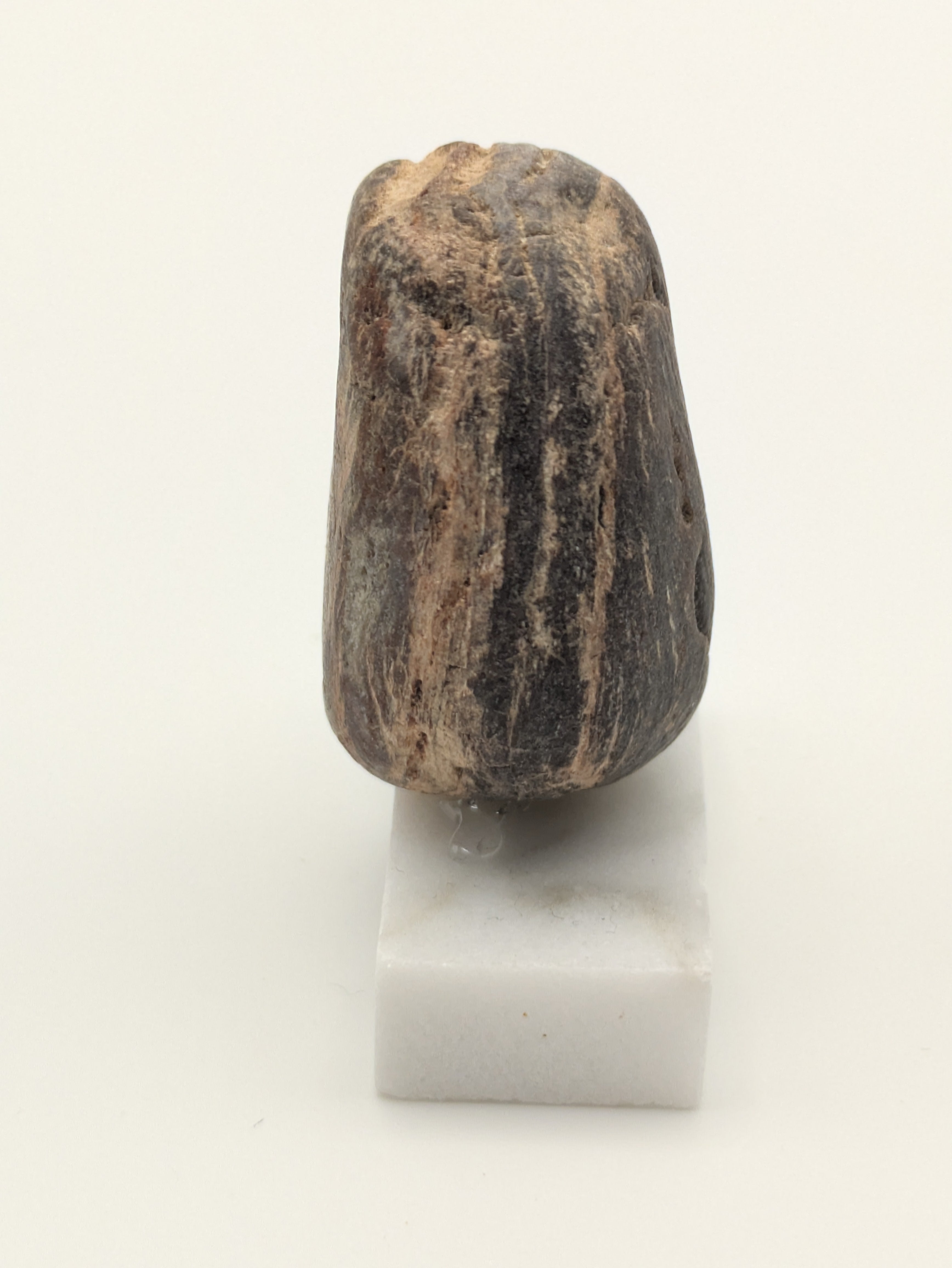 Small Petrified Wood Specimen (with stand)
