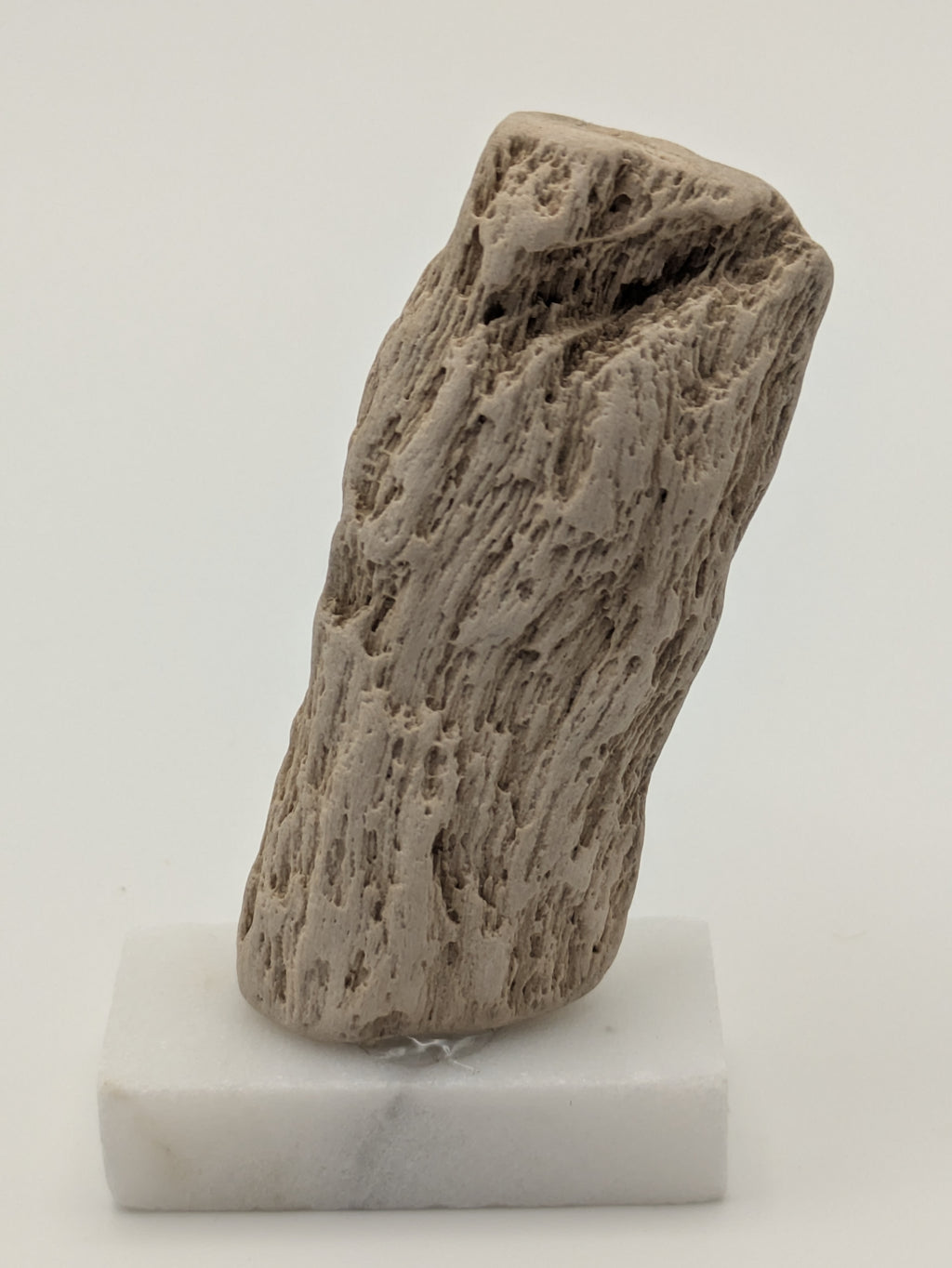 Small Petrified Wood Specimen (with stand)