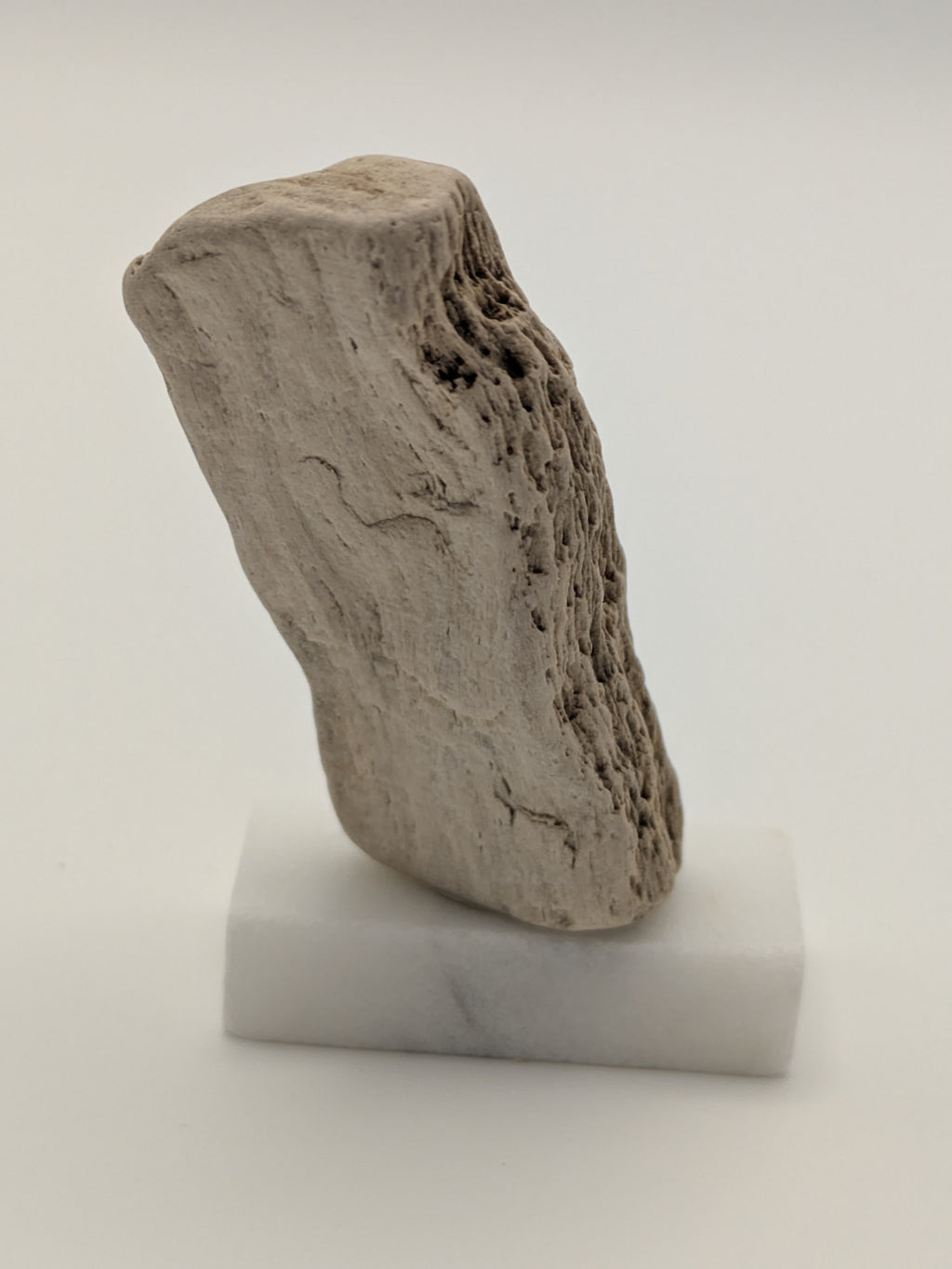 Small Petrified Wood Specimen (with stand)