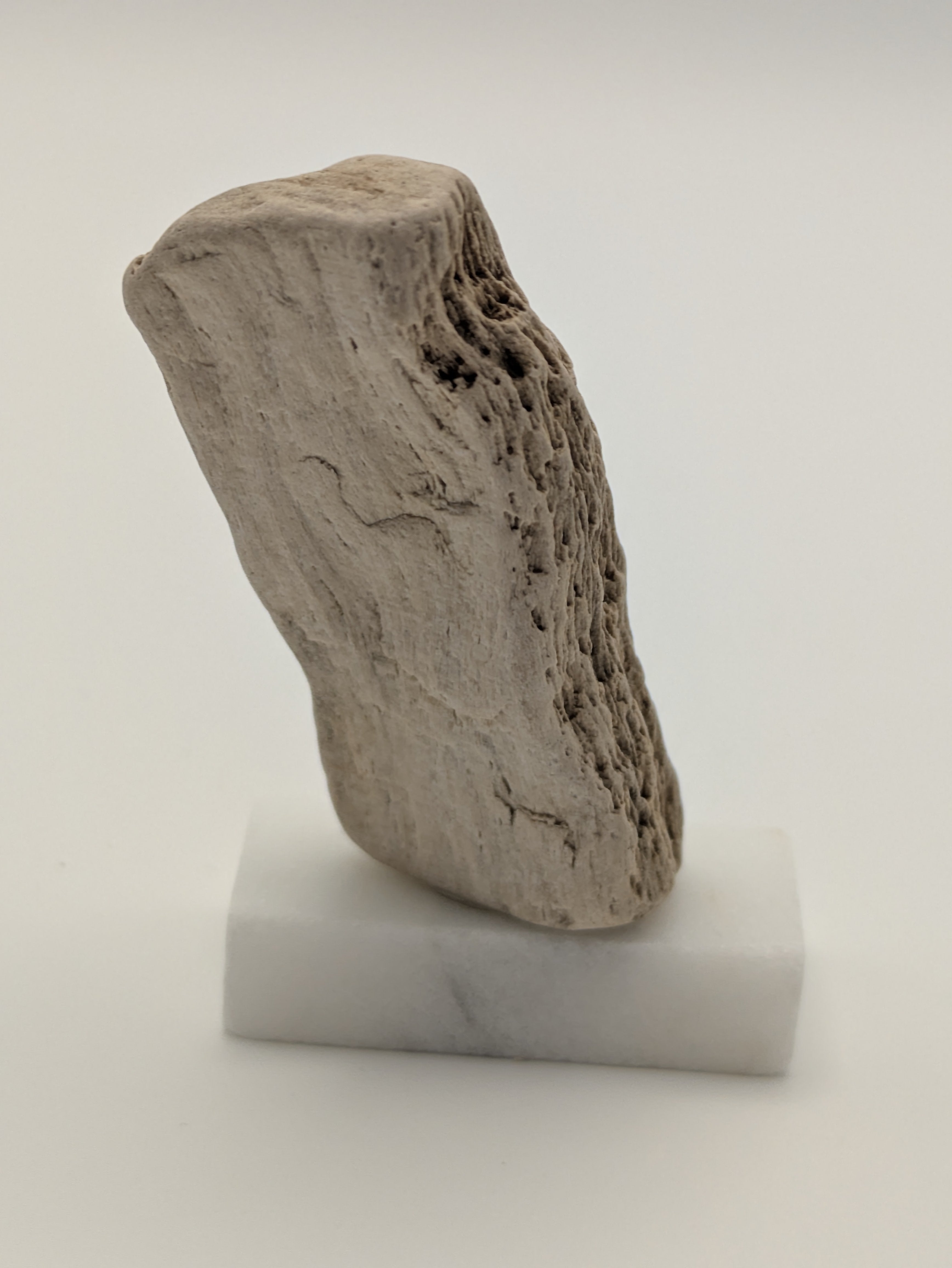 Small Petrified Wood Specimen (with stand)