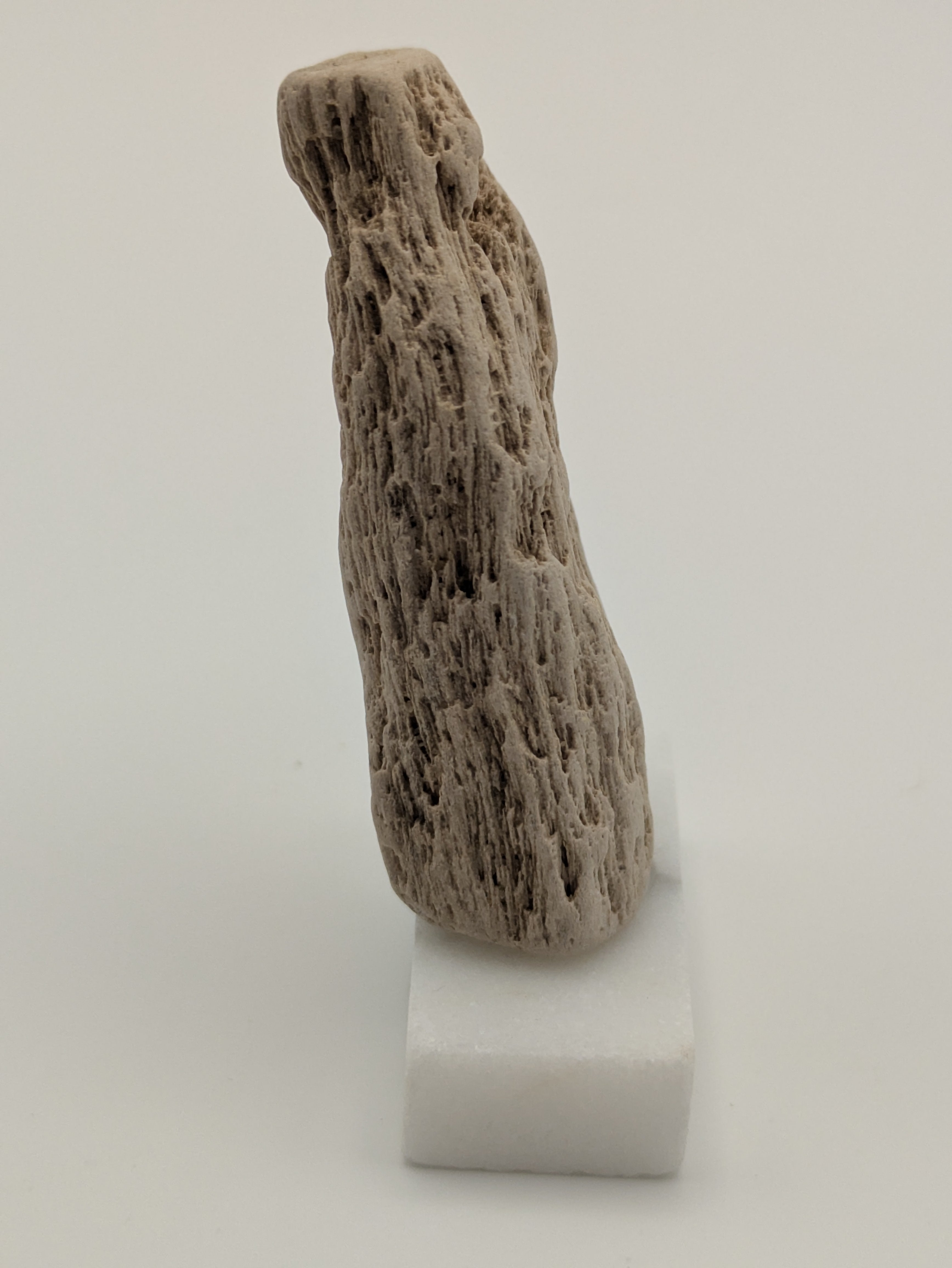 Small Petrified Wood Specimen (with stand)
