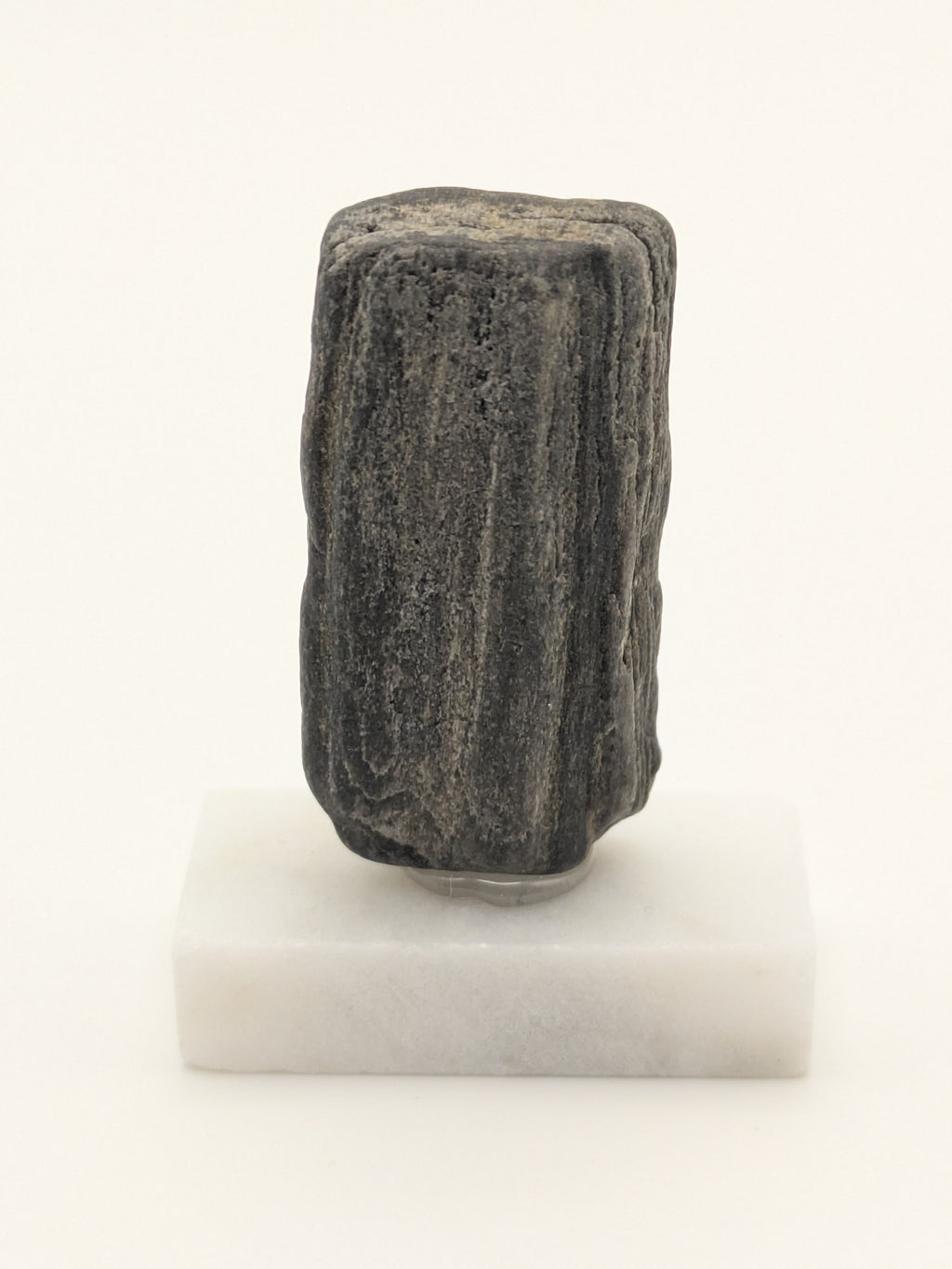 Small Petrified Wood Specimen with Druzy Crystals (with stand)