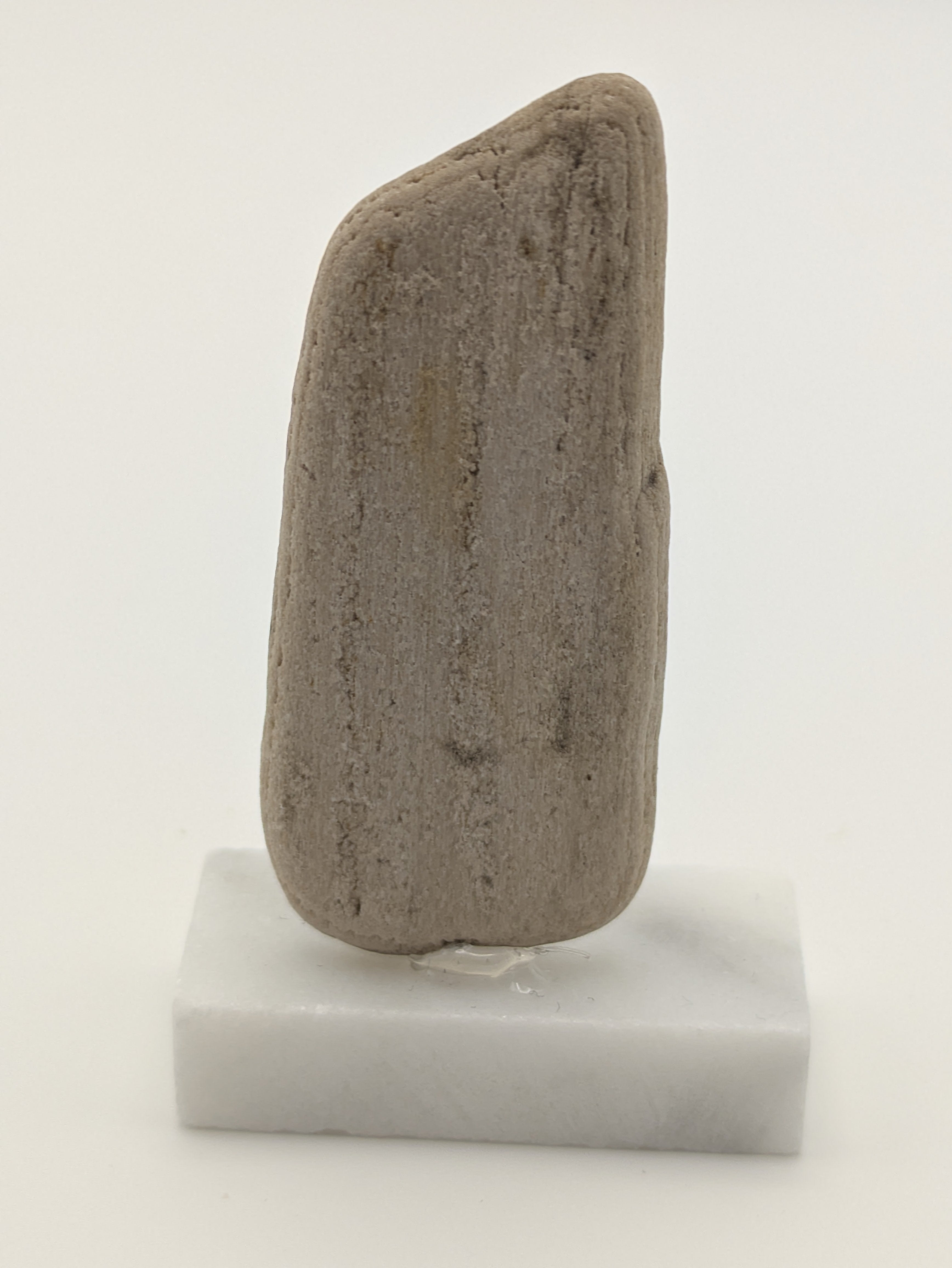 Small Petrified Wood Specimen with (with stand)