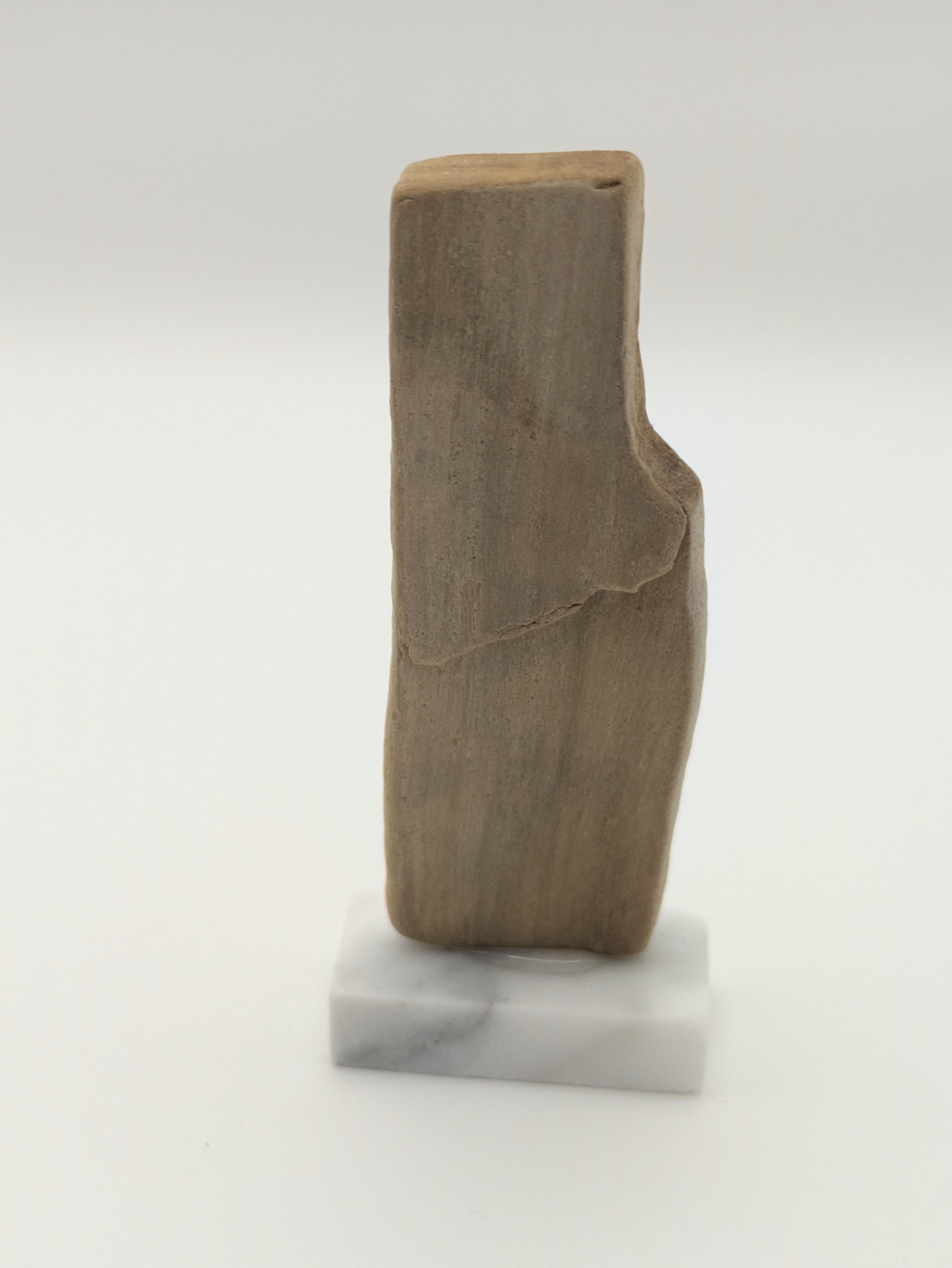 Small Petrified Wood Specimen with (with stand)