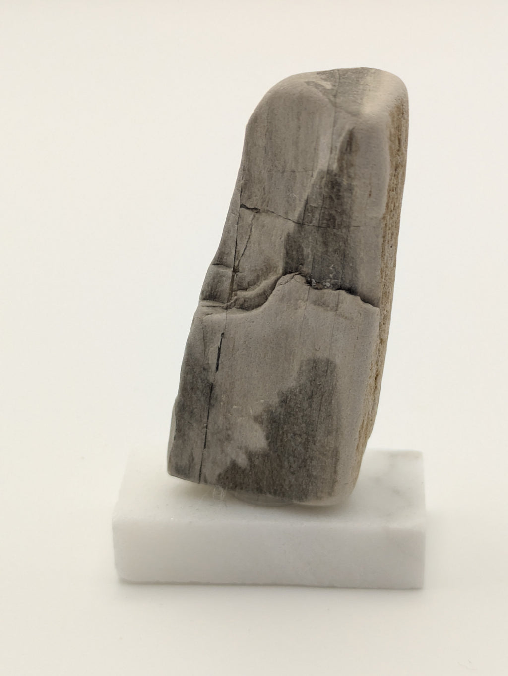 Small Petrified Wood Specimen with (with stand)