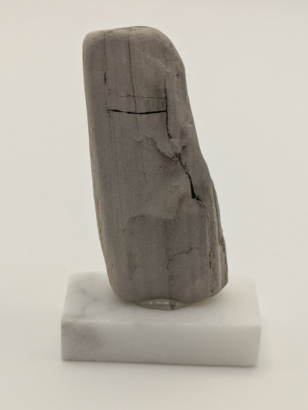 Small Petrified Wood Specimen with (with stand)
