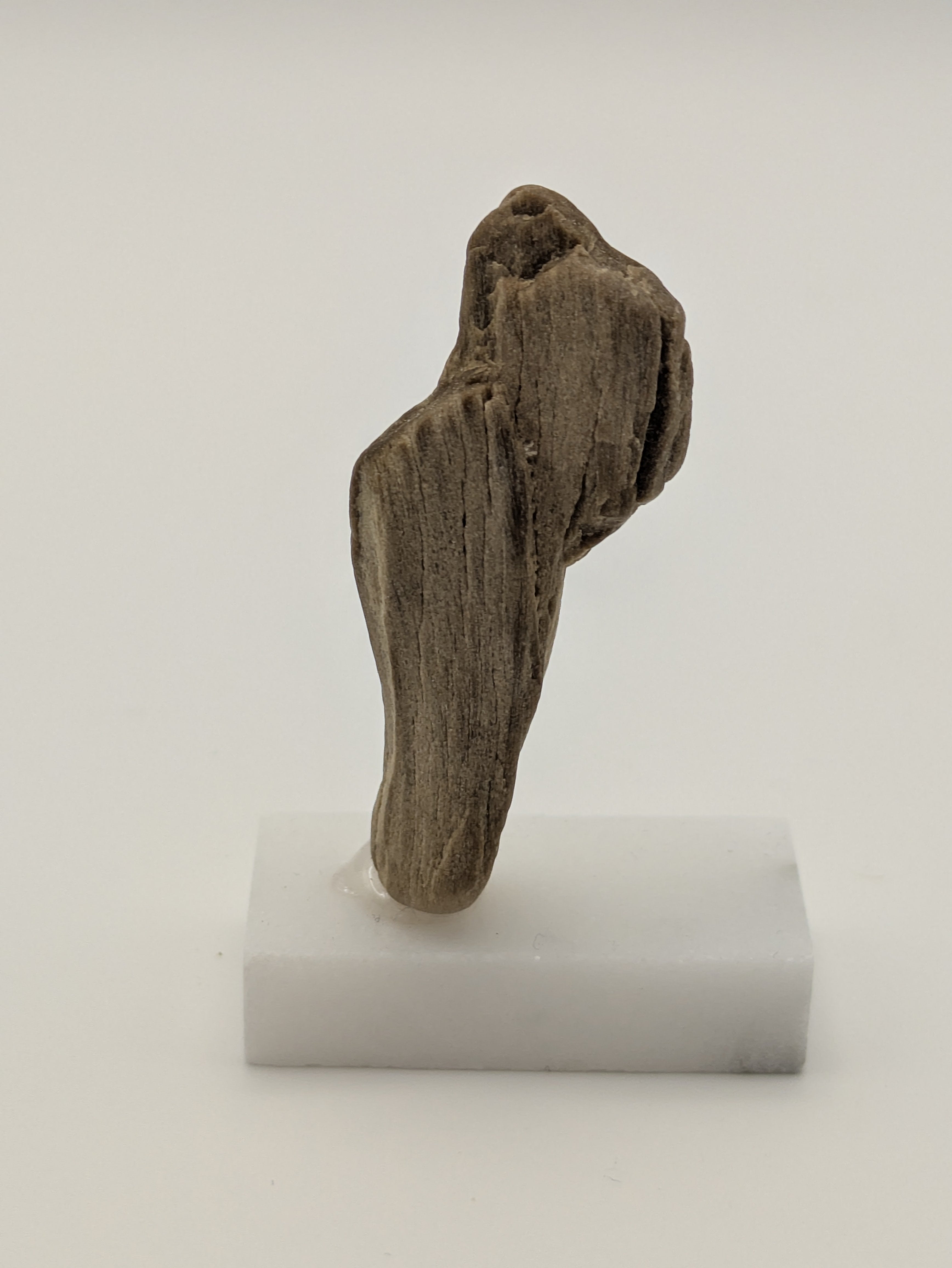 Small Petrified Wood Specimen with (with stand)