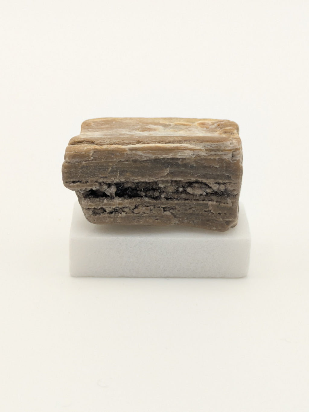 Small Petrified Wood Specimen with Druzy Crystals (with stand)