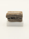 Small Petrified Wood Specimen with Druzy Crystals (with stand)