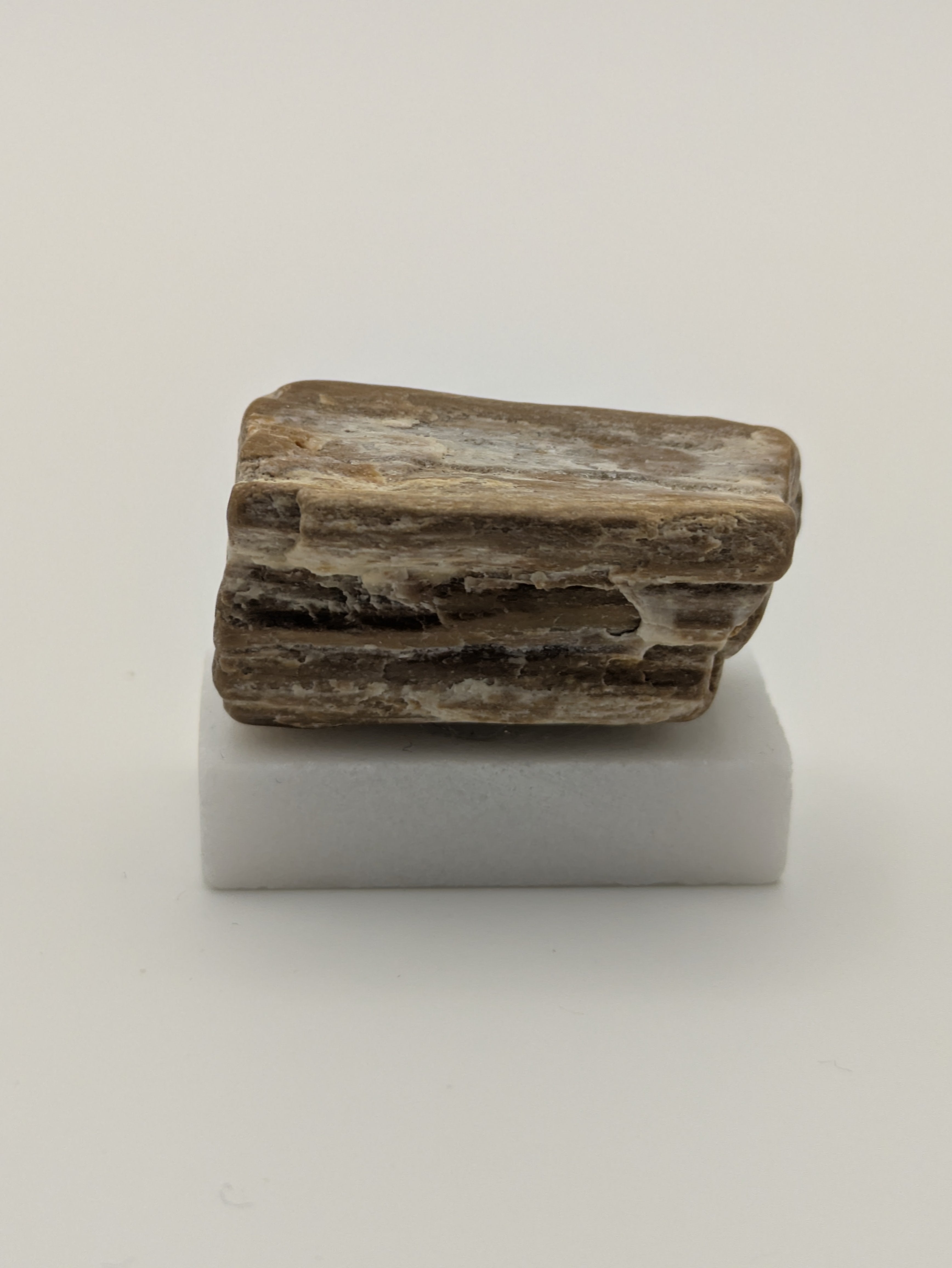 Small Petrified Wood Specimen with Druzy Crystals (with stand)