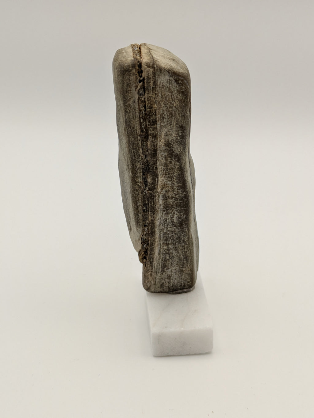 Small Petrified Wood Specimen with (with stand)