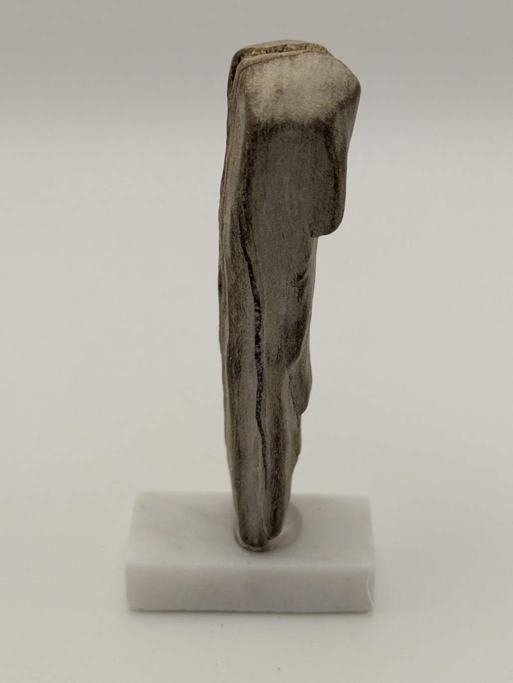 Small Petrified Wood Specimen with (with stand)
