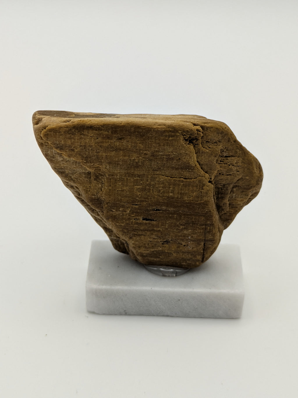 Small Petrified Wood Specimen with (with stand)