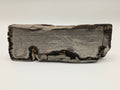 Petrified Wood Specimen
