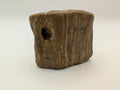 Petrified Wood Specimen