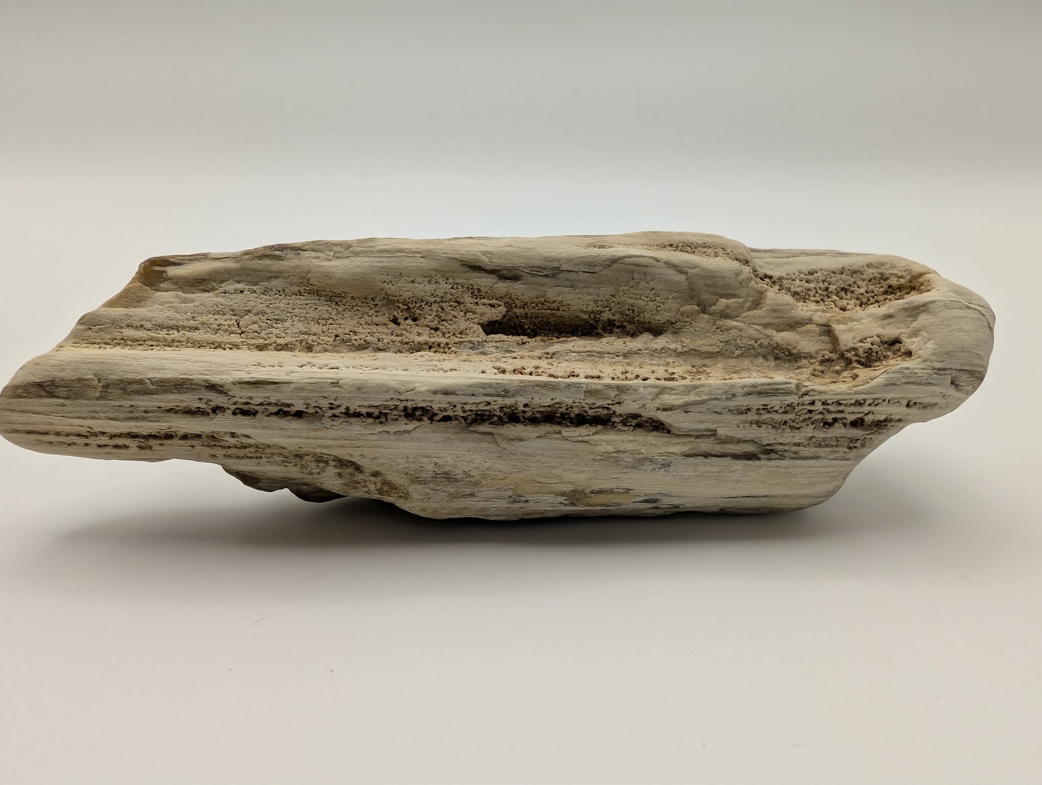 Opalized Wood with Druzy Crystals