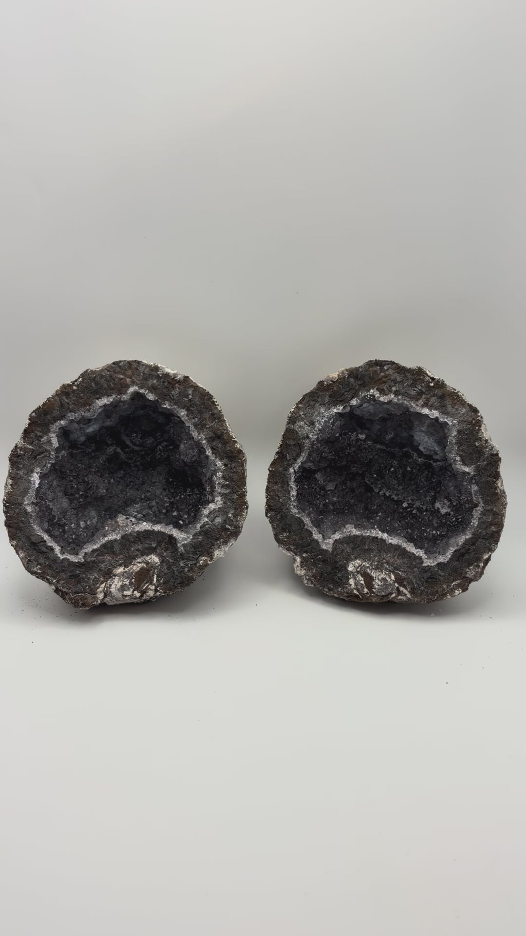Las Choyas Coconut Whole Geodes 95% Hollow