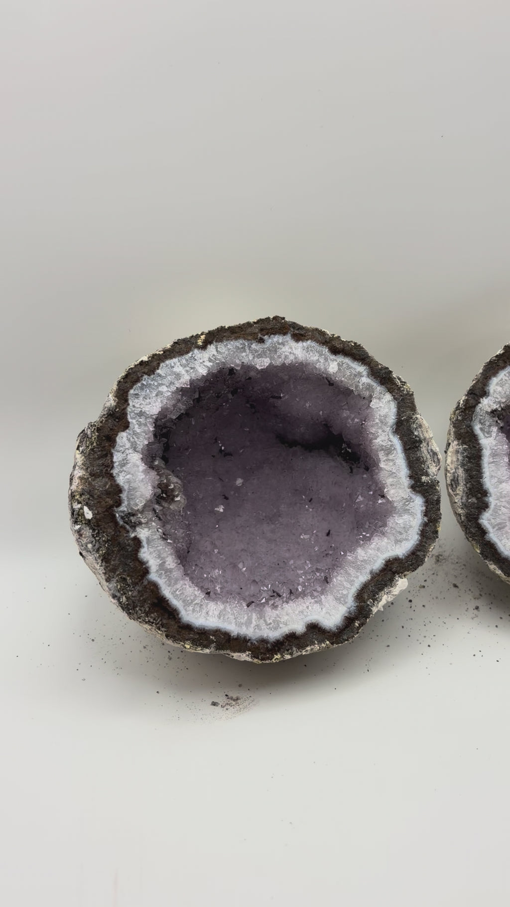 Las Choyas Coconut Whole Geodes 95% Hollow