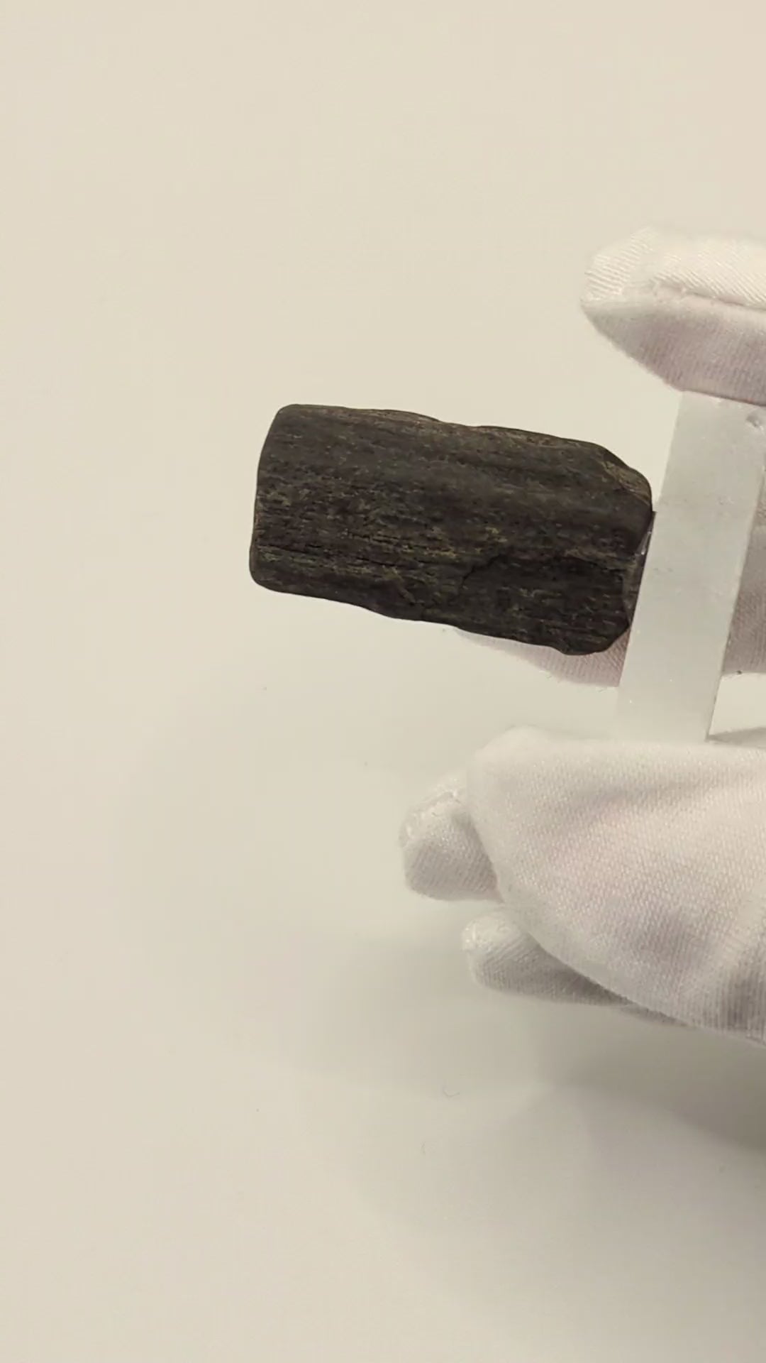 Small Petrified Wood Specimen with Druzy Crystals (with stand)