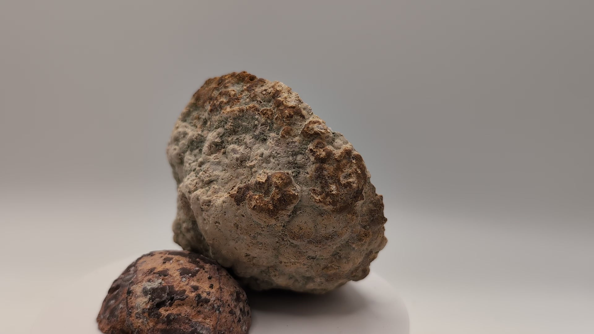 Crystal Canyon Geodes
